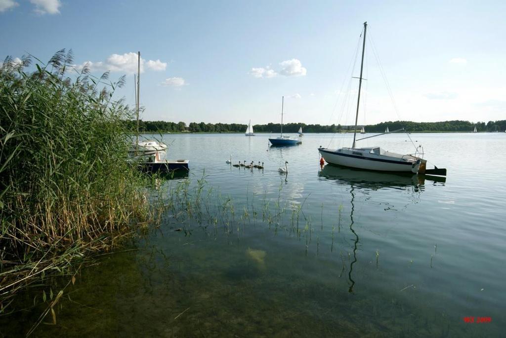 Noclegi Pod Modrzewiem Powidz  Exteriör bild
